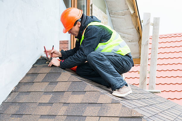 Best Roof Maintenance Services  in Chena Ridge, AK